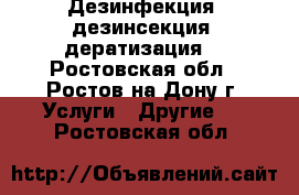 Дезинфекция, дезинсекция, дератизация. - Ростовская обл., Ростов-на-Дону г. Услуги » Другие   . Ростовская обл.